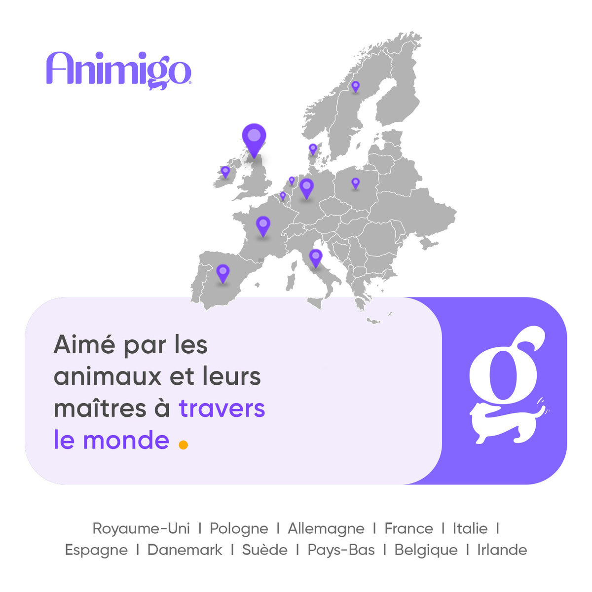 Armoise Avancée pour Chats 120ml Liquide
