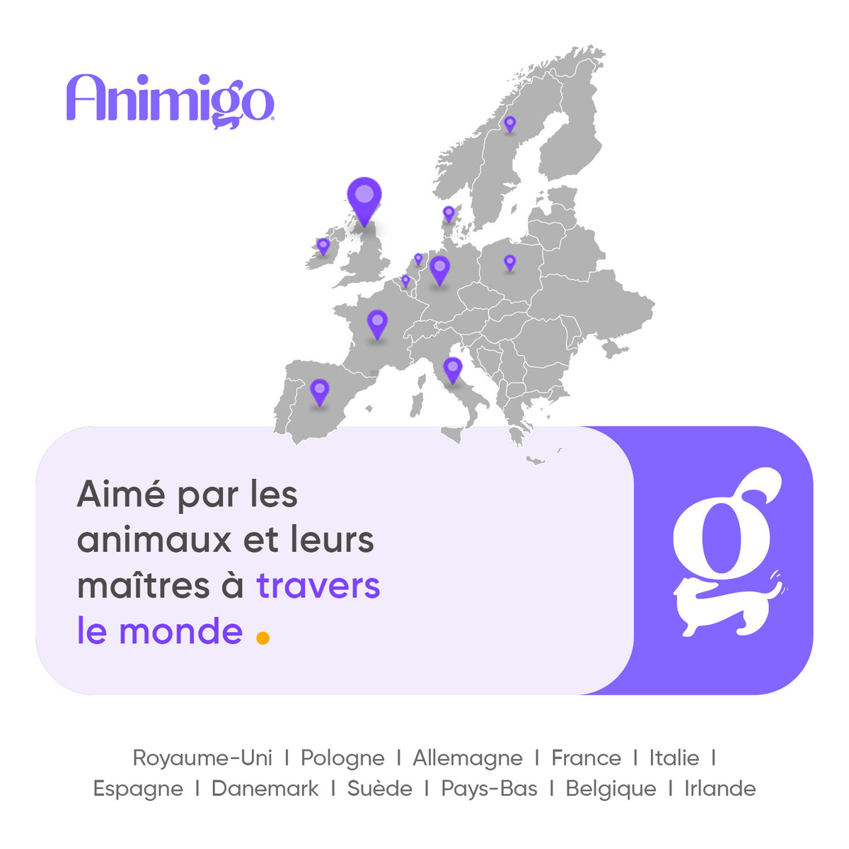 Shampoing anti-puces et anti-tiques pour chats, 500 ml
