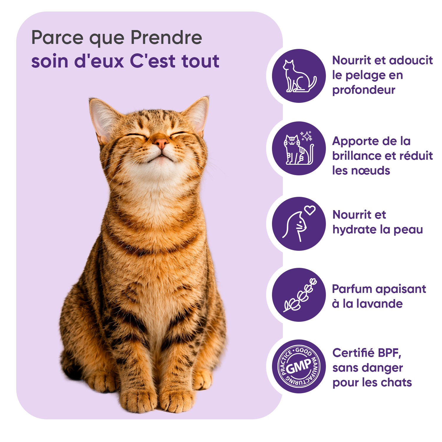 Après-Shampoing de Toilettage pour Chats 500ml