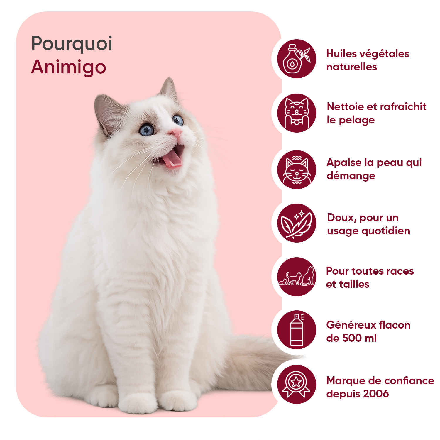 Poudre Anti-Puces et Anti-Tiques pour Chiens
