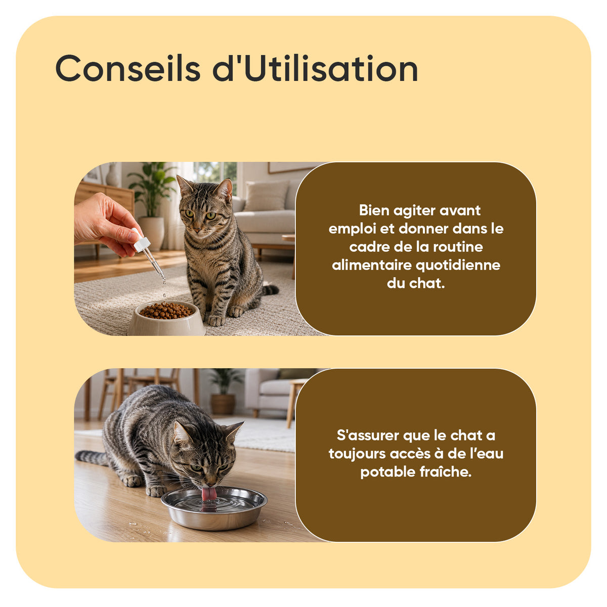 Soin Anti-Démangeaisons pour Chats Liquide 250ml