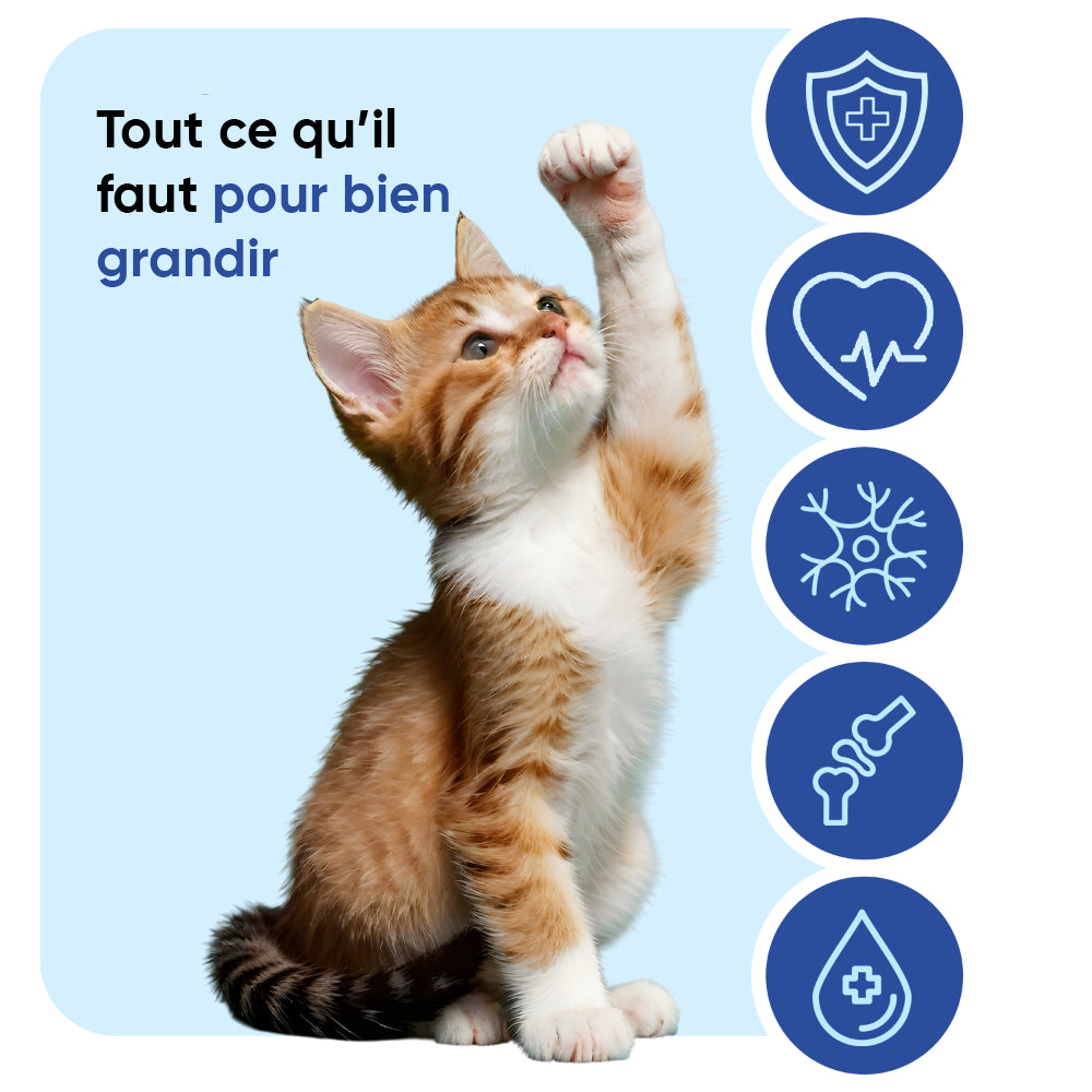 Multivitamines et minéraux pour chats, 120 comprimés à mâcher