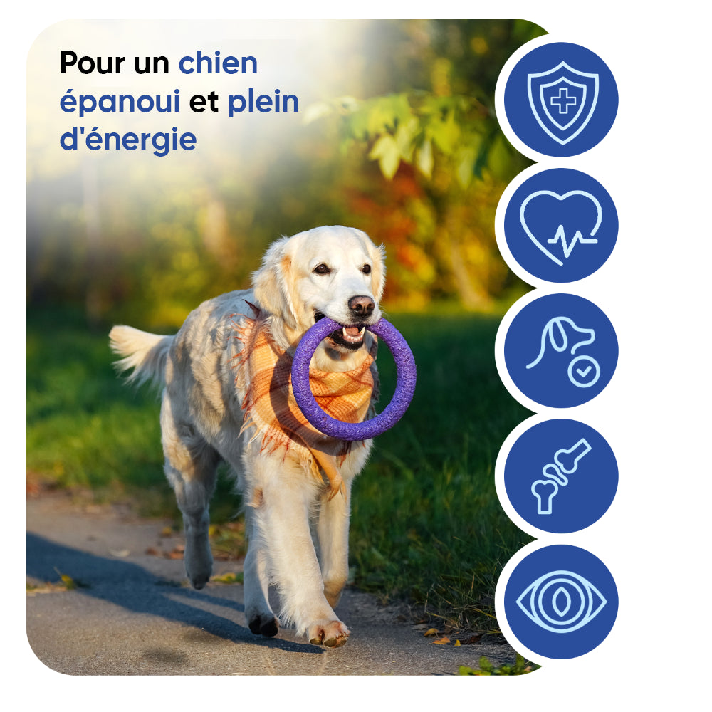 Multivitamines et minéraux pour chiens, 120 bouchées tendres