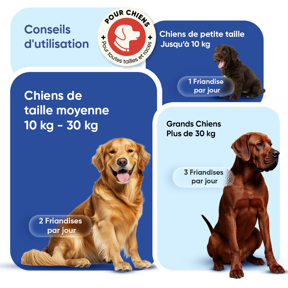 Multivitamines et minéraux pour chiens, 120 bouchées tendres