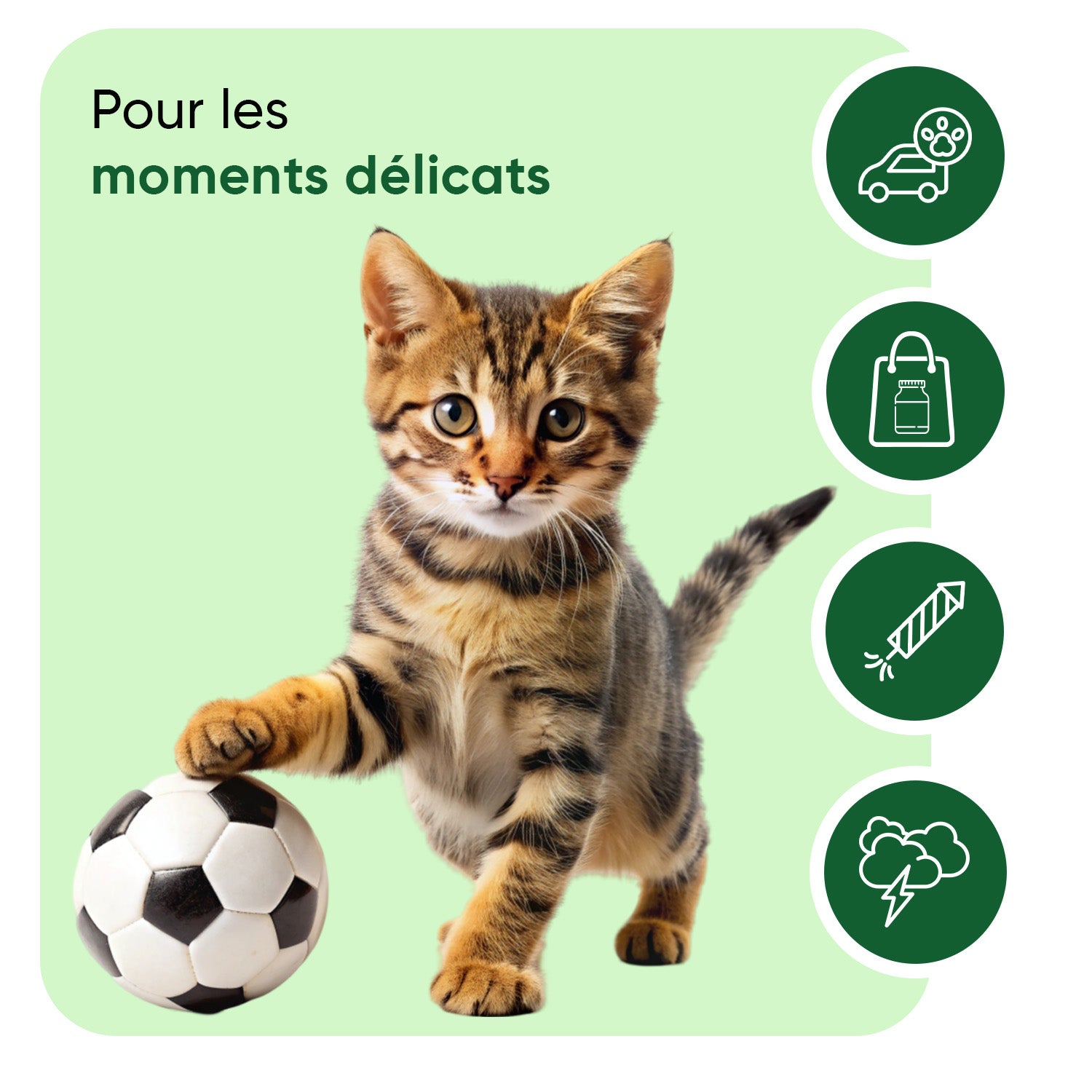 Animigo Gouttes Apaisantes pour Chats 100 ml