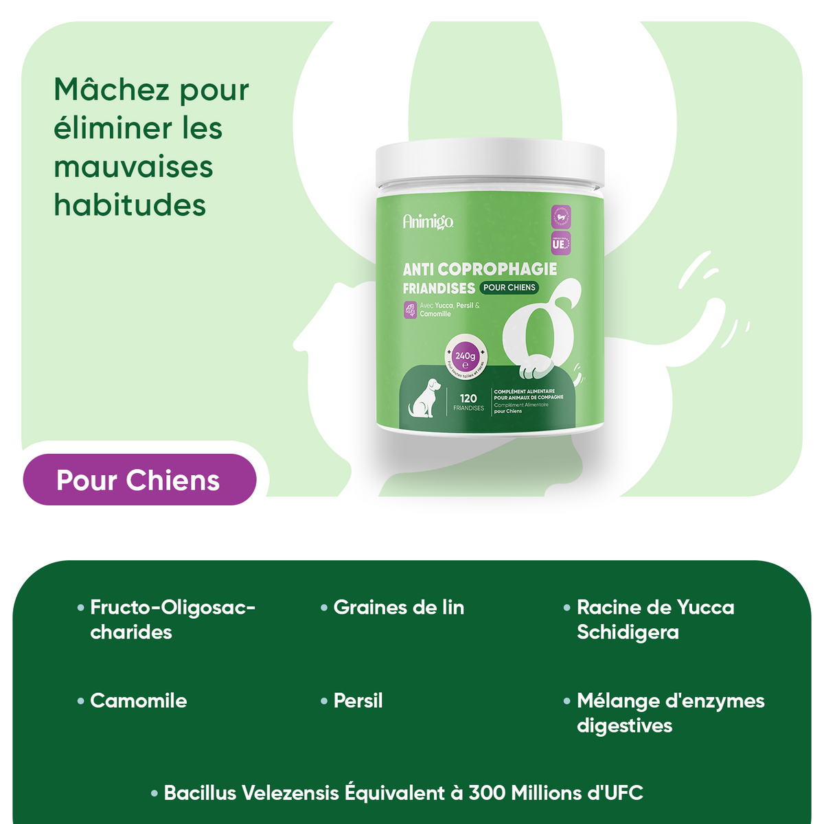 Anti-coprophagie pour chiens