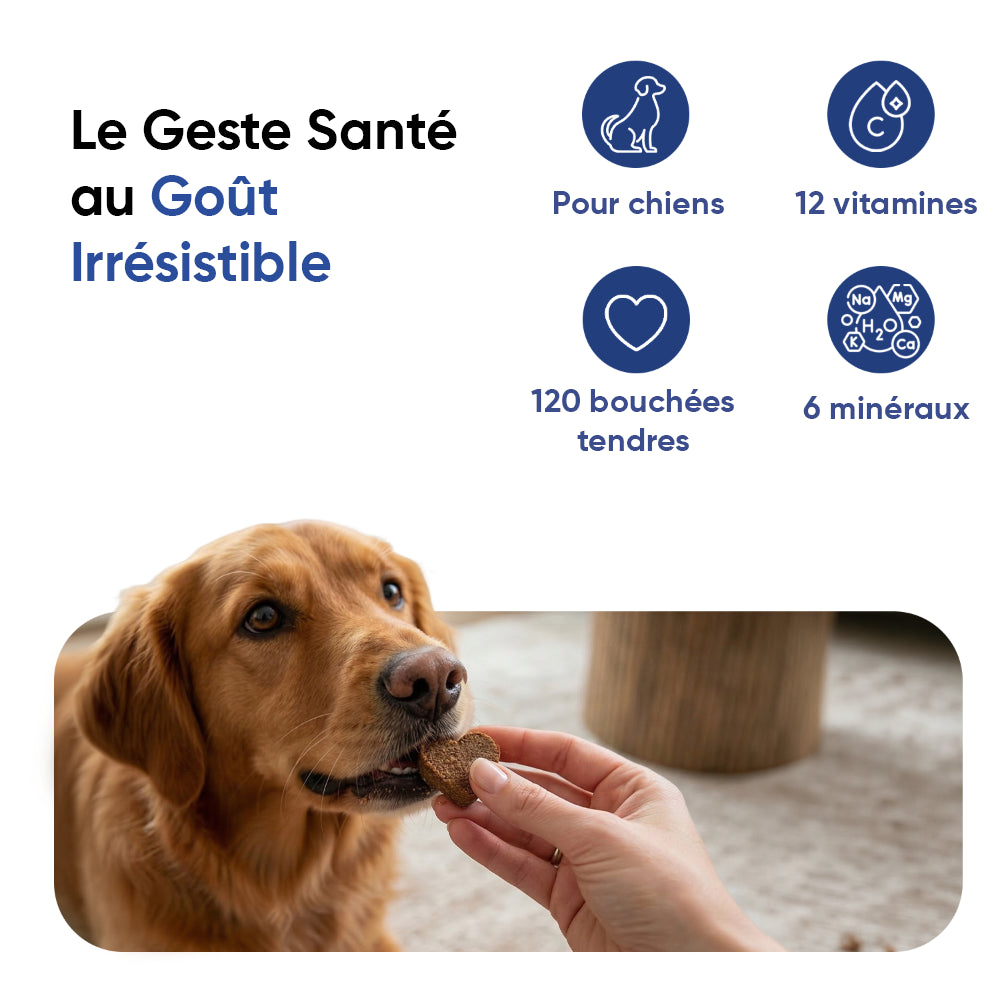 Multivitamines et minéraux pour chiens, 120 bouchées tendres