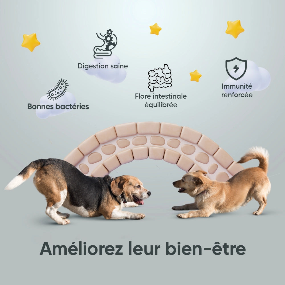 animigo-digestive-probiotics-for-dogs-120capsule-02