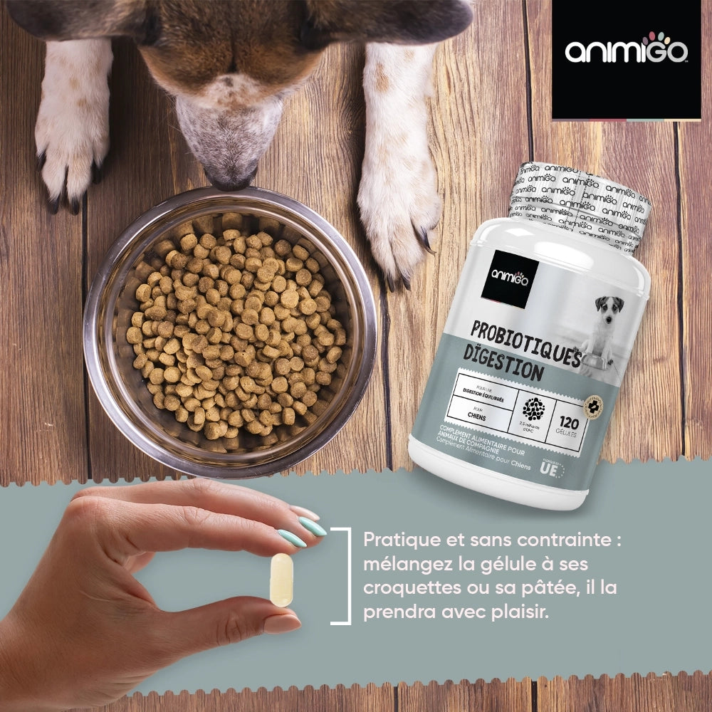 animigo-digestive-probiotics-for-dogs-120capsule-03