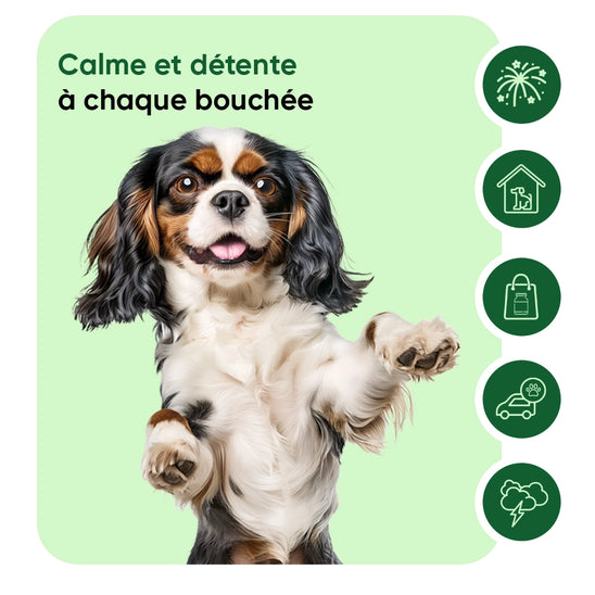 animigo-fr-calming-aid-for-dogs-04