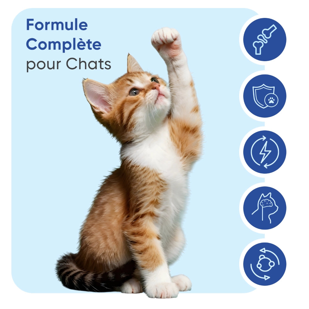 animigo-fr-multivitamines-minirals-capsules-bottles-02