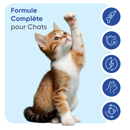 animigo-fr-multivitamines-minirals-capsules-bottles-02