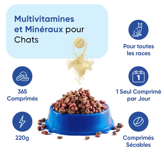 animigo-fr-multivitamines-minirals-capsules-bottles-04