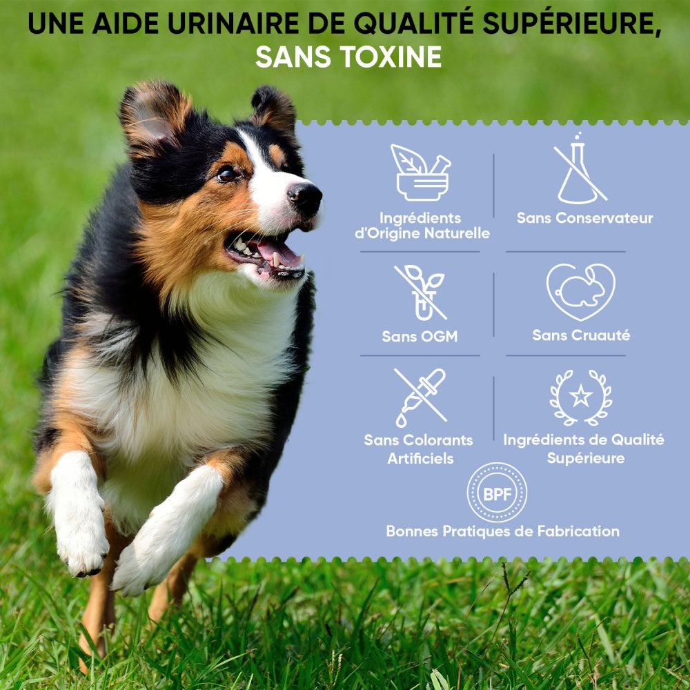 animigo-urinary-aids-dog-120capsules-fr-04