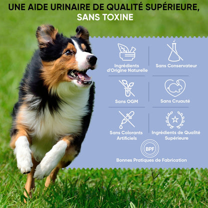 animigo-urinary-aids-dog-120capsules-fr-04.jpg