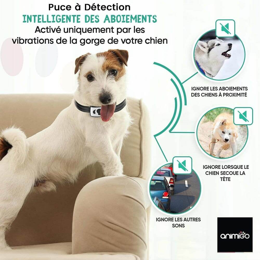 anti-bark-collar-fr-6