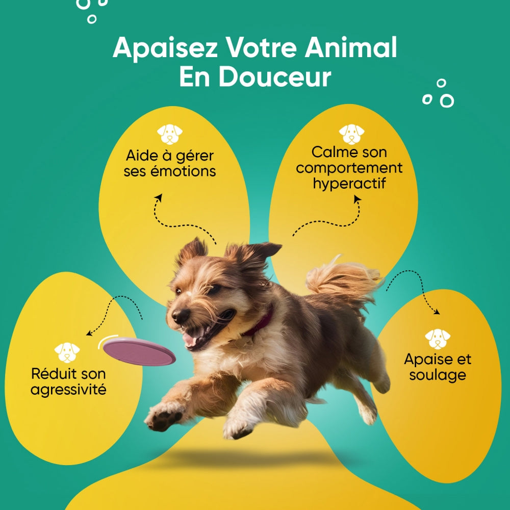 calming-aid-dogs-fr-2