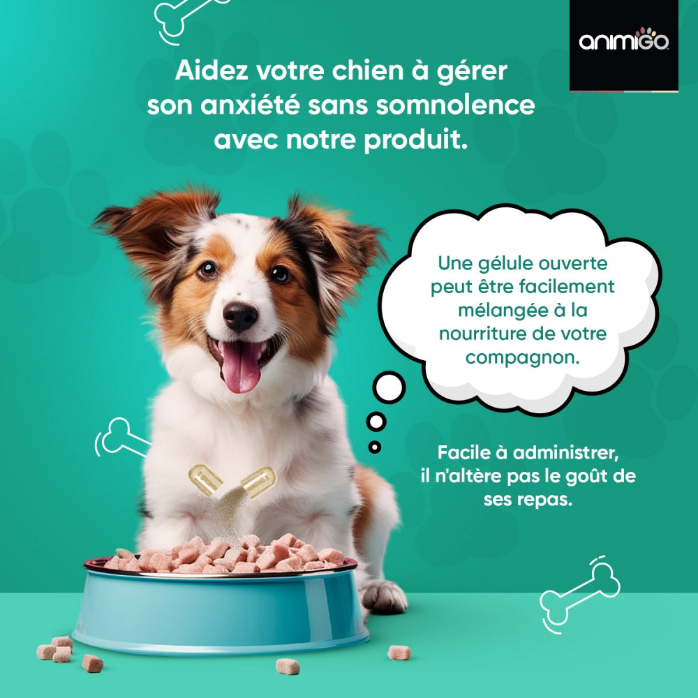calming-aid-dogs-fr-3