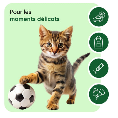 calming-aid-for-cats-fr-3