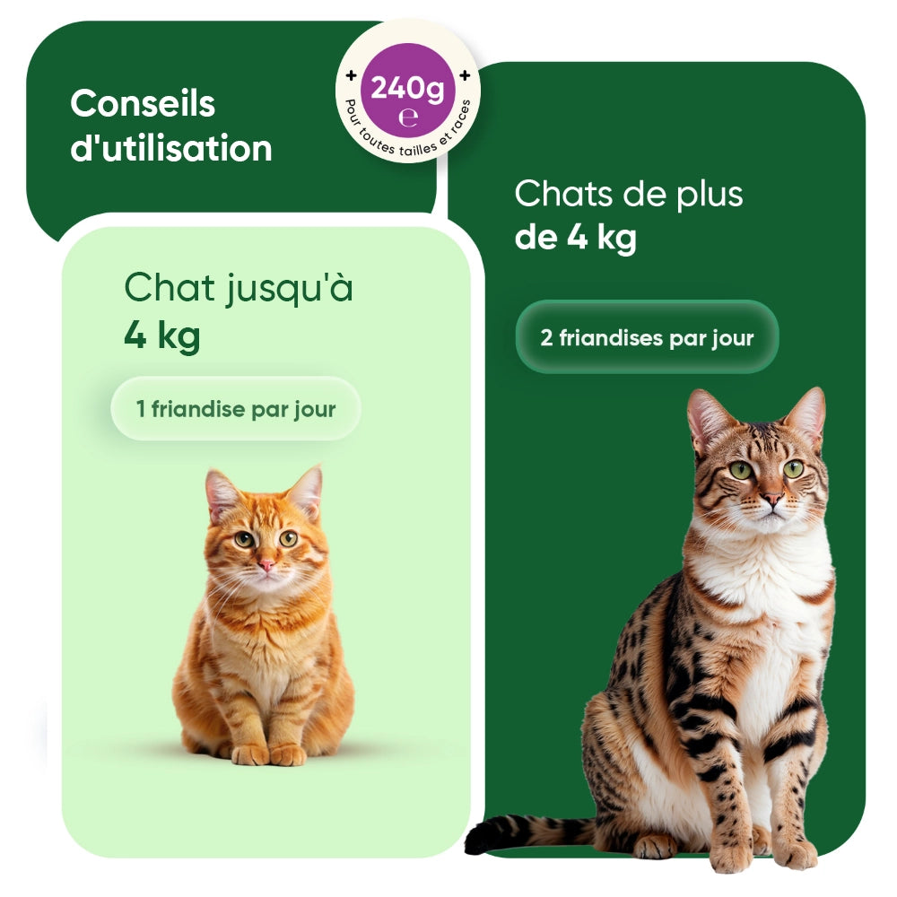 calming-aid-for-cats-fr-5