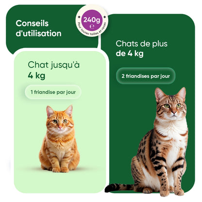 calming-aid-for-cats-fr-5