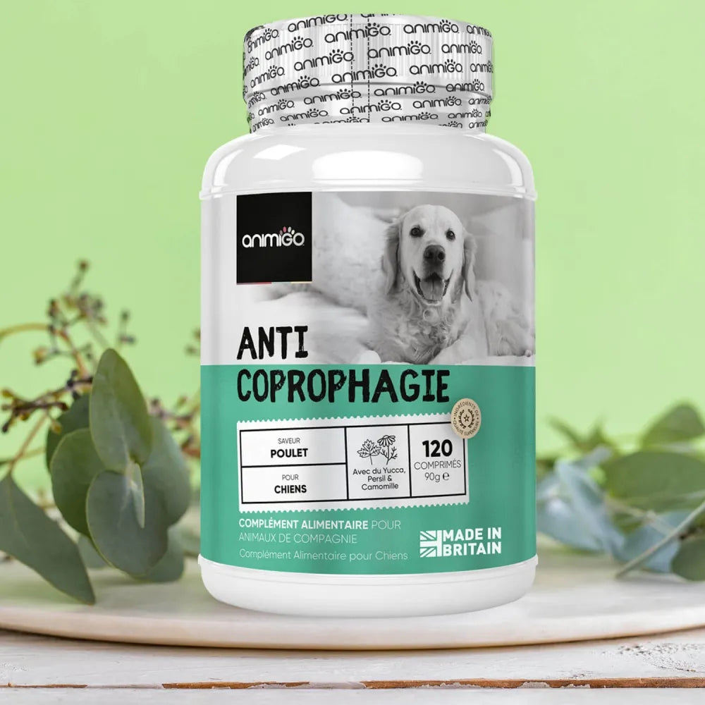Répulsif pour chien qui mange ses crottes
