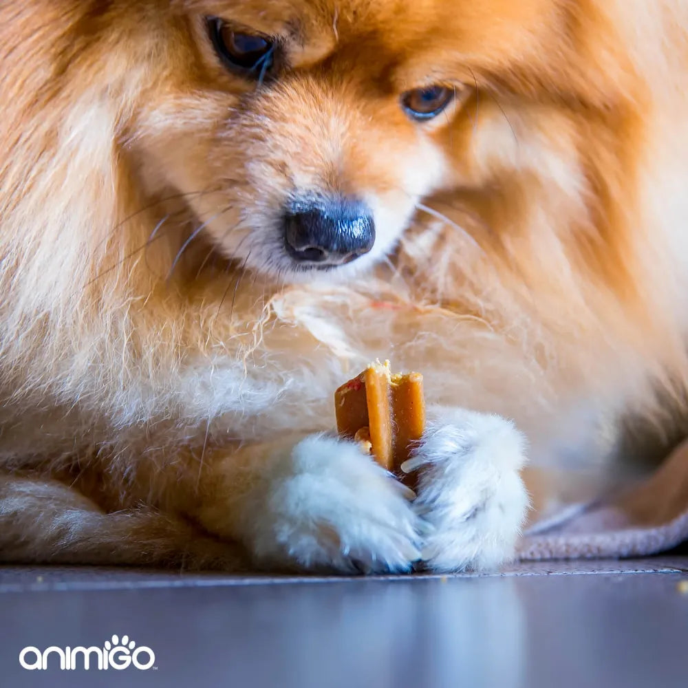 Comprimés pour chien qui mange ses excréments