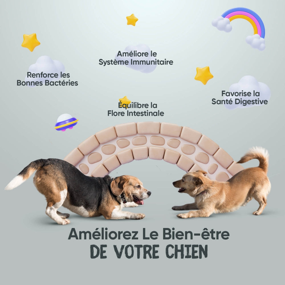 digestive-probiotic-capsules-animigo-fr-02.jpg