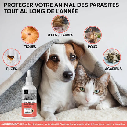 flea-and-tick-control-spray-fr-2.webp