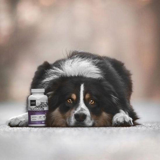 glucosamin.-ugc.jpg