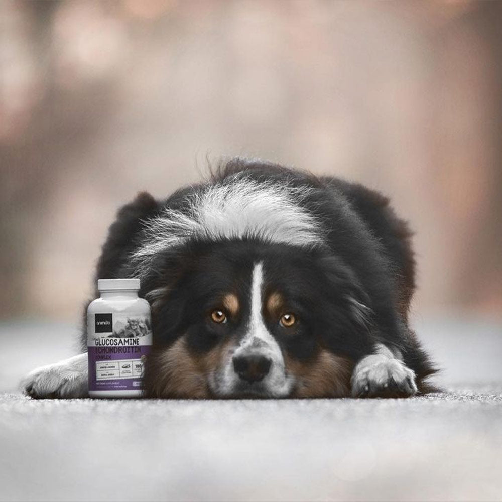 glucosamin.-ugc