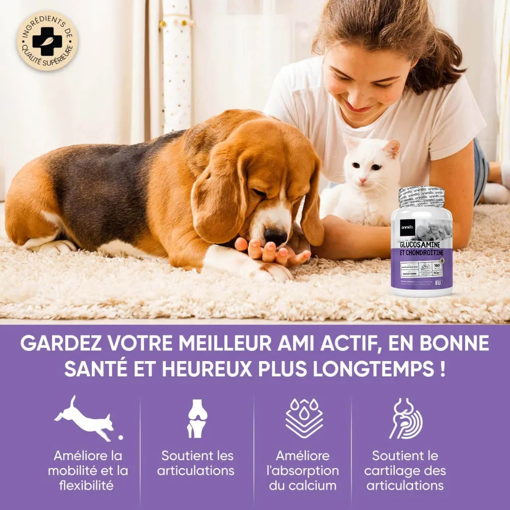 glucosamine-and-chondroitin-fr-02