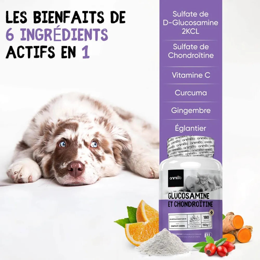 glucosamine-and-chondroitin-fr-03