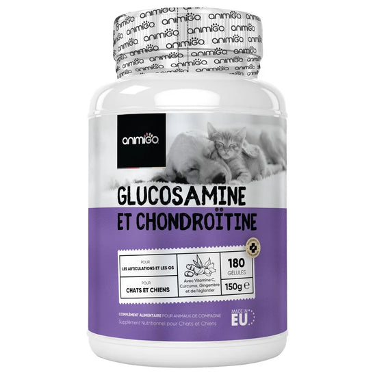 glucosamine-chondroitin-complex-1-front-fr.webp