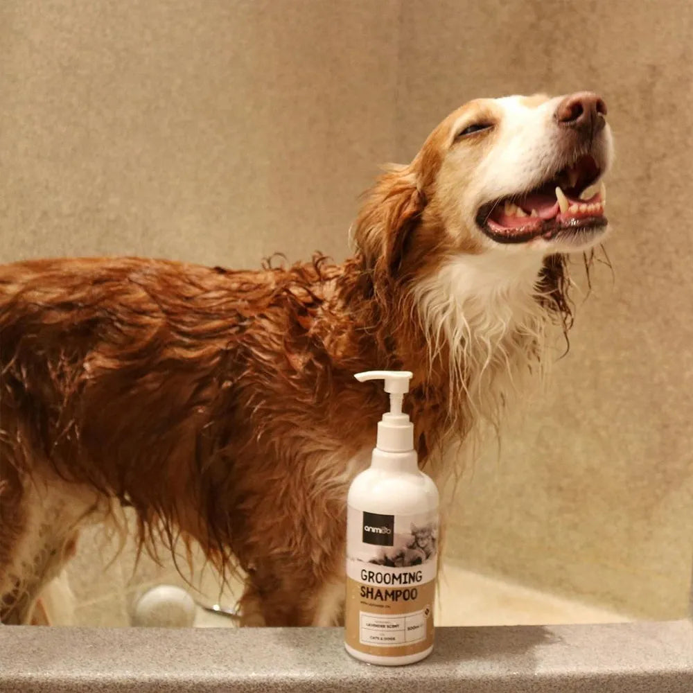 grooming-shampoo-ugc-05