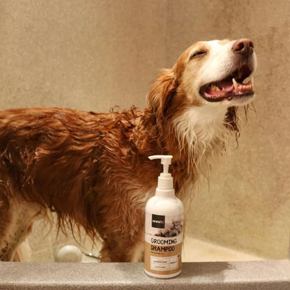 grooming-shampoo-ugc-05