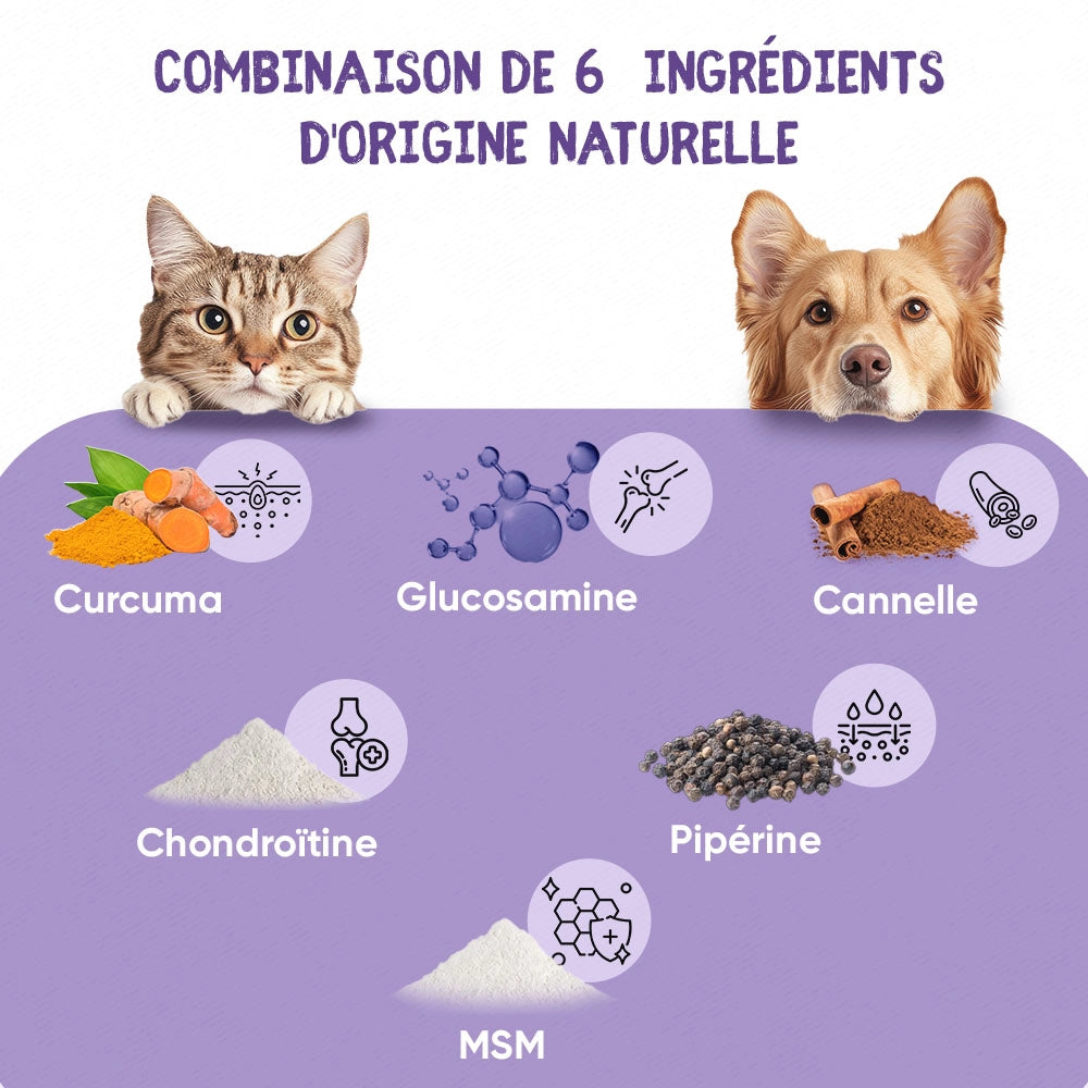 hip-and-joint-complex-120-soft-chews-fr-2.webp