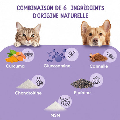 hip-and-joint-complex-120-soft-chews-fr-2.webp
