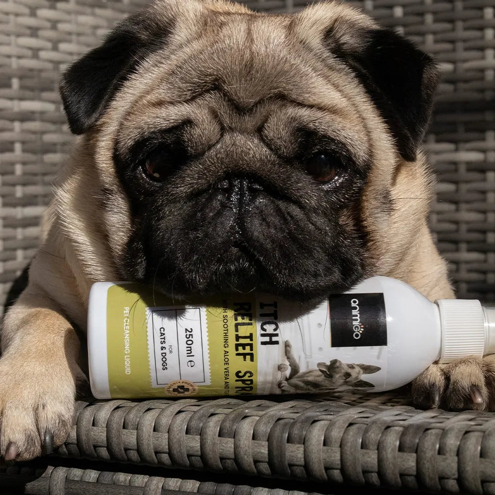 itch-relief-spray-de-ugc