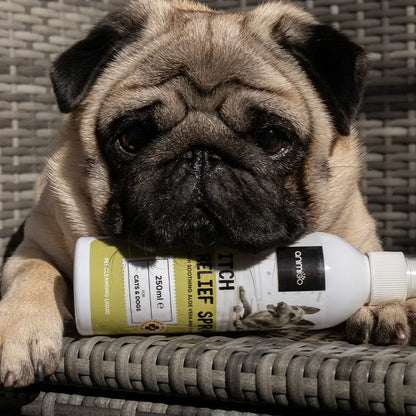itch-relief-spray-de-ugc.webp