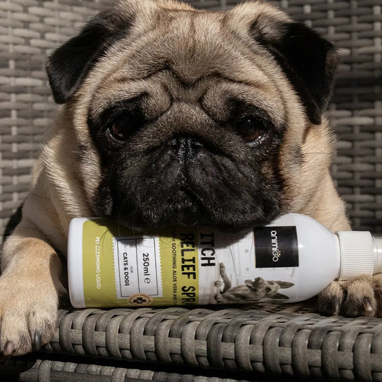 itch-relief-spray-de-ugc.webp
