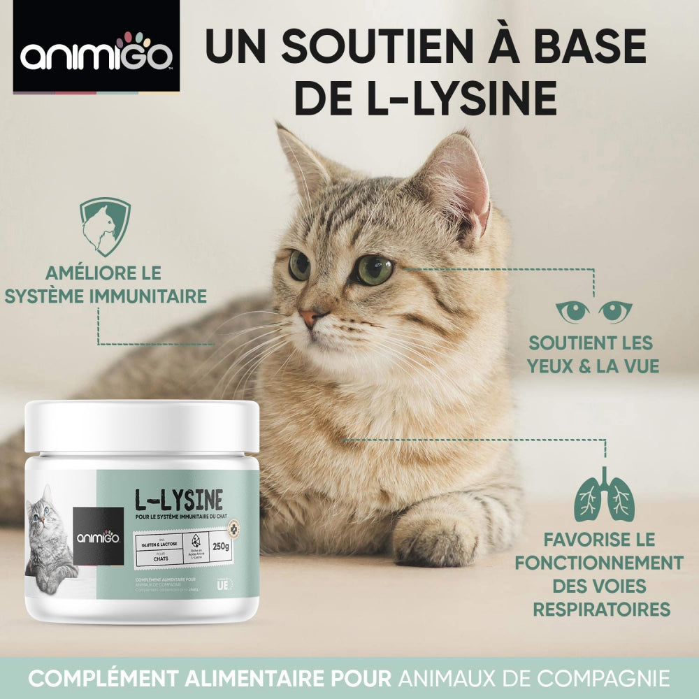 l-lysine-powder-ani-fr-03