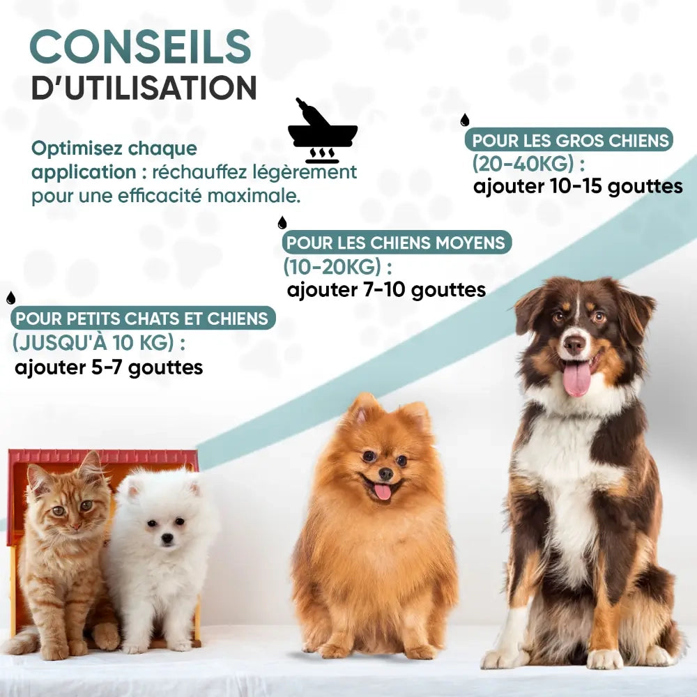 wormwood-advanced-ani-fr-2