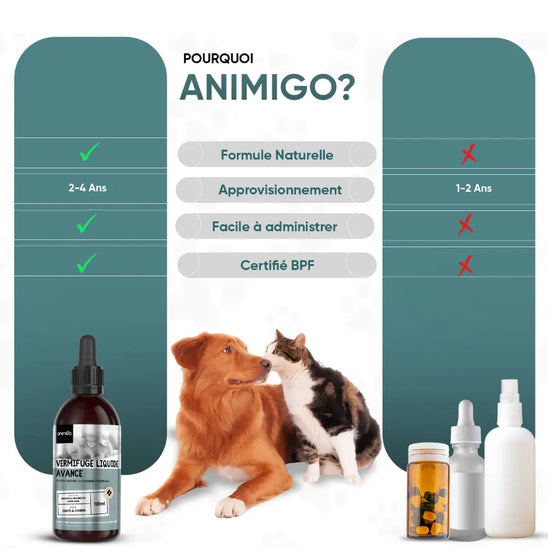 wormwood-advanced-ani-fr-3